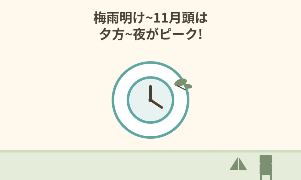 夕方の時計と虫、キャンプのテント
